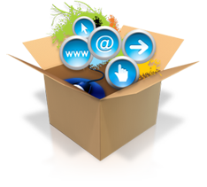 Paquetes de diseo web economicos